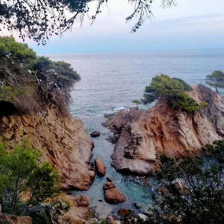 Tres Palmeras - Parking Privado Apartment Lloret de Mar